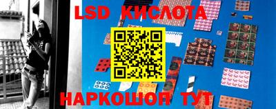 крисы Пенза