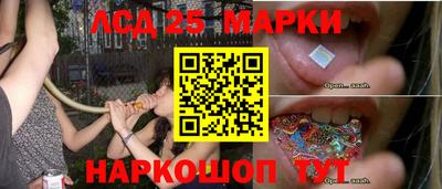 крисы Пенза