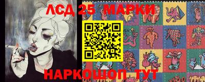 крисы Пенза