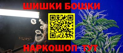 крисы Пенза