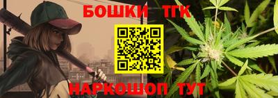 крисы Пенза