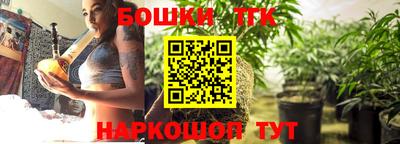 крисы Пенза