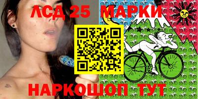 крисы Пенза