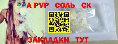 крисы Пенза