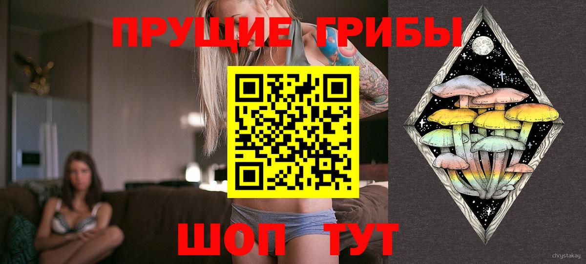 Галлюциногенные грибы Psilocybine cubensis  Вход с VPN  Псилоцибиновые грибы GOLDEN TEACHER  Солнечногорск 