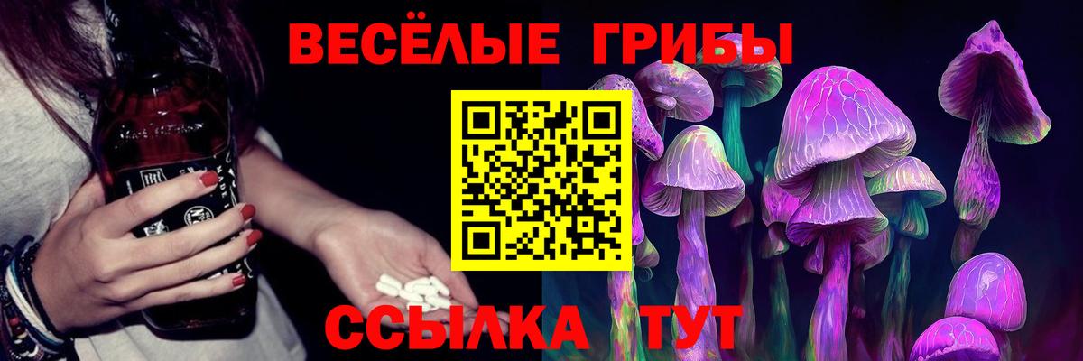 Псилоцибиновые грибы ЛСД Солнечногорск